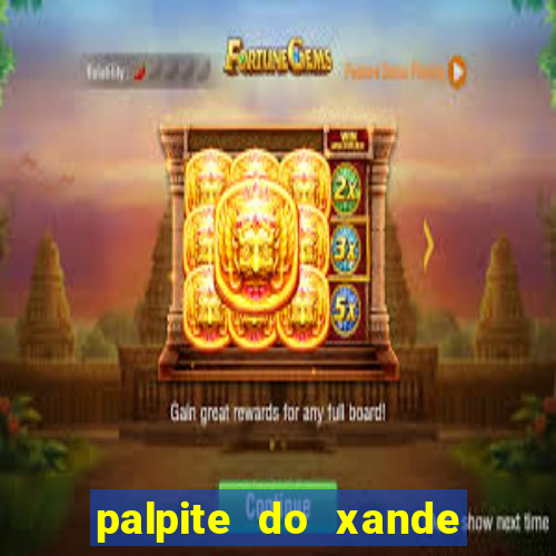 palpite do xande para hoje